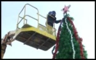 На набережной Нижнего пруда установили новогоднюю елку