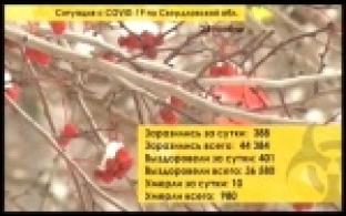 Ситуация с коронавирусом в Свердловской области за последние сутки