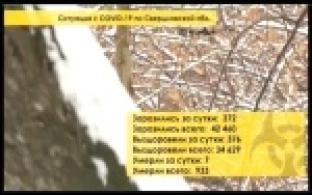 В Свердловской области количество новых случаев COVID-19 вновь ставит антирекорды