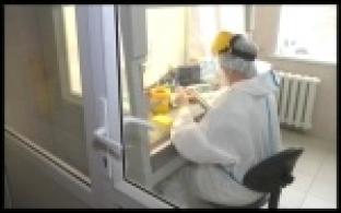 Лаборатории обяжут выдавать результат анализа на COVID-19 в течение 48 часов