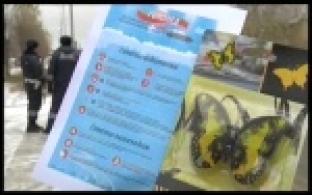 Автоинспекторы напомнили водителям о необходимости "переобуть" автомобили