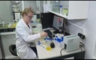 Уральские ученые разработали новый противовирусный препарат