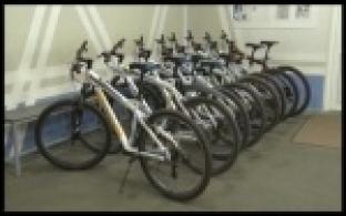 Первоуральцев приглашают на велопробег по лесной трассе