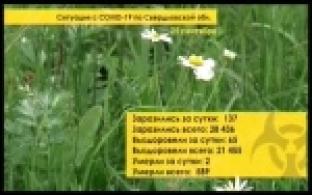 На Урале первые добровольцы поставили прививку от COVID-19