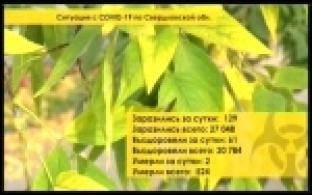 Ситуация с коронавирусом в Свердловской области