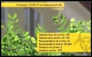 Количество первоуральцев, заболевших коронавирусом, превысило 700 человек