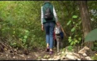 Около деревни Каменка открылась экотропа