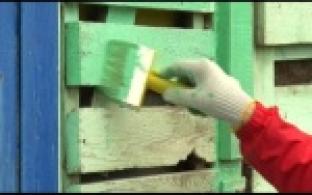 В приют для животных пришли волонтеры и жители города