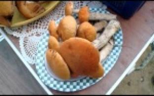 На Урале начался грибной сезон