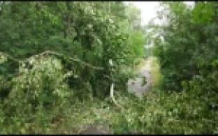 После урагана жители нескольких районов остались без света