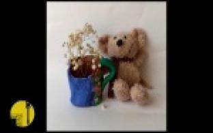 Завершилась онлайн-смена для креативных подростков