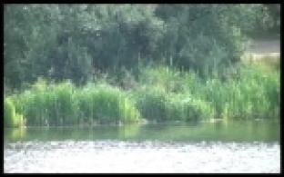 Активисты "Города Первых" начали подготовку к экосплаву