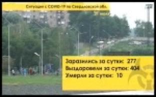 Вспышка коронавируса среди сотрудников Первоуральской птицефабрики