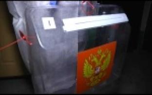 Как проходит голосование по поправкам в Конституцию на дому