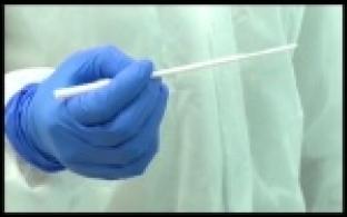 Охват тестирования на коронавирус в Свердловской области растет