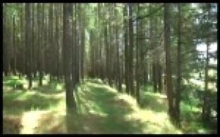 Пожарные напоминают о необходимости соблюдать осторожность с огнем