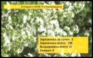 В Свердловской области уже более 6 тысяч подтвержденных случаев COVID-19