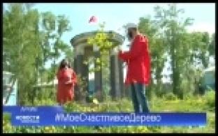 Эковолонтеры Первоуральска передадут саженцы дуба ответственным горожанам