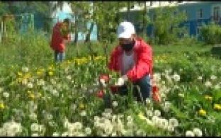 Активисты "Города Первых" проверили, как прижились высаженные ими деревья