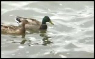 В Свердловской области открылись для посетителей природные парки