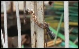 Первоуральские кладбища закрыли для посещения