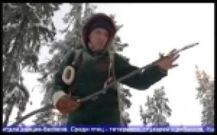 В Уральских лесах стало больше животных