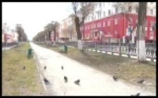 В Первоуральскую больницу поступил пациент с подозрением на коронавирус