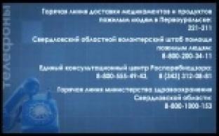 В Первоуральске работает волонтерский центр для помощи пожилым  горожанам