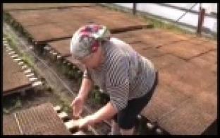 Первоуральские сельскохозяйственники готовятся к посевной