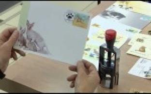 День кошек почтальоны отметили по-своему