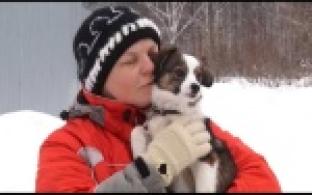 Ищу тебя, хозяин