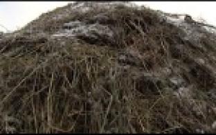 Кормушки для лесных животных