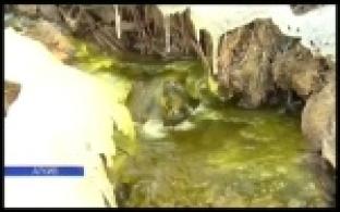 В прокуратуре выяснили причины появления зеленого снега в Первоуральске