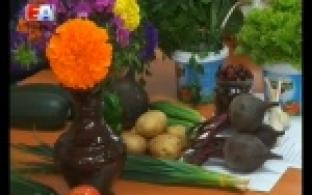Алевтина Нарваткина побывала на празднике урожая в обществе слепых