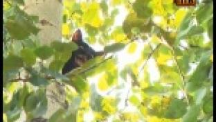 Подарки за интересные новости