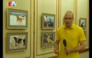 В Первоуральске открылась фотовыставка, посвящённая бездомным животным и людям, что уже помогли тысячам братьев меньших