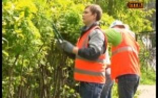 В Первоуральске стартовала третья смена летней трудовой кампании для подростков