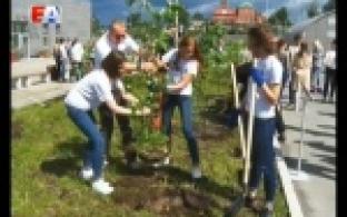 В будущем ИнноПарке высадили первые деревья