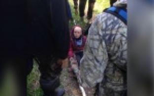 Четырехлетний Дима Песков, пропавший в районе Рефтинского водохранилища, найден живым