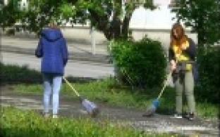 Первоуральские школьники помогают наводить чистоту на городских аллеях.