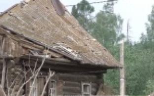 Жизнь после урагана