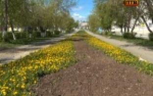 Этим летом центральная аллея города на проспекте Ильича преобразится