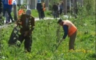 Для красоты и на пользу экологии