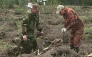 Первоуральск принял участие во Всероссийском дне посадке леса