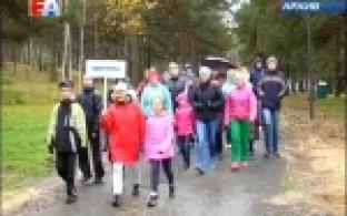 В лес за новыми впечатлениями