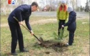 «Дерево Победы» в память об участниках Великой Отечественной войны