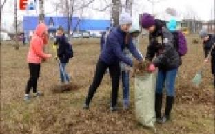 Инициативу чистоты поддержали в посёлках
