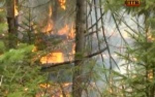 В Первоуральске началась подготовка к пожароопасному сезону