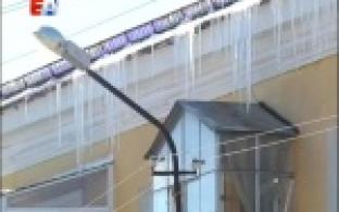 Угроза, которая пришла вместе с весной