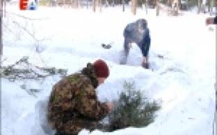 Февральский десант Выпуск 3 22.02.2017